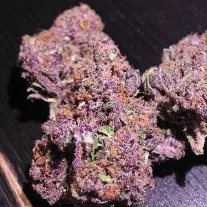 Buy Purple Haze Weed UK