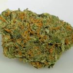 Chocolope Cannabis Strain UK