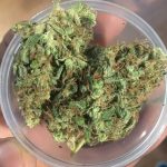 African Weed Strain