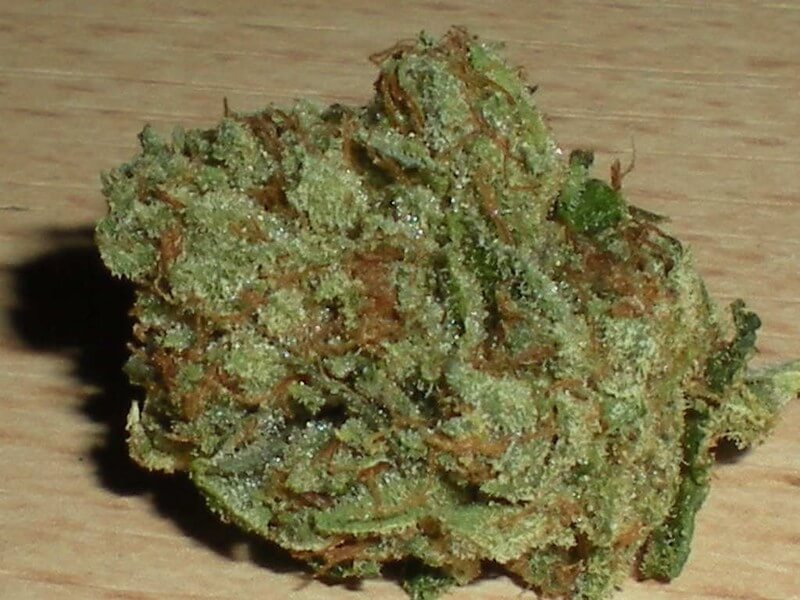 Godzilla Marijuana Strain UK