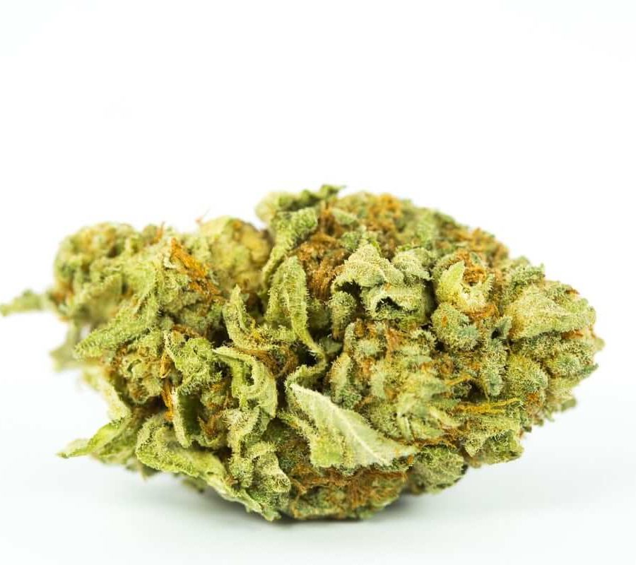 Blueberry Cough Marijuana Strain