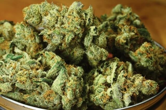 Berry Breath Cannabis Strain