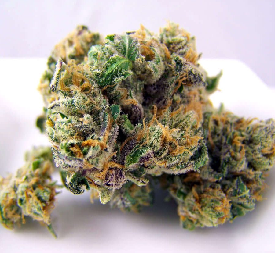 Woody Kush Cannabis Strain UK